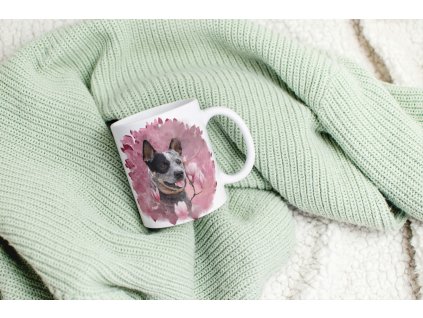 Hrneček -  Australský honácký pes