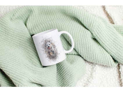 Hrneček -  Australský honácký pes