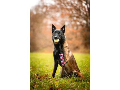 583905642 1322238533251698 917898170436384607 n