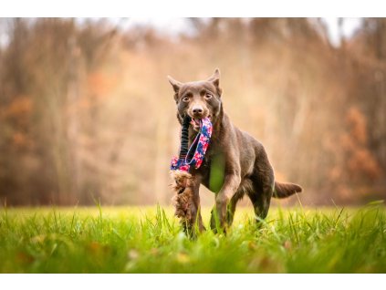 582247032 1322238476585037 4934785387019814907 n