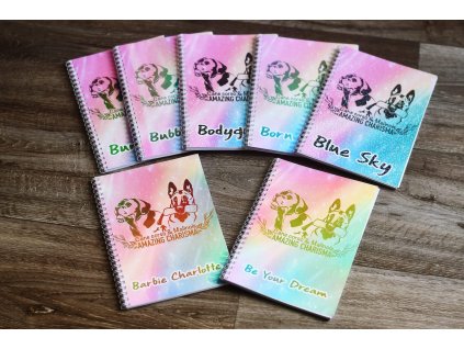 490951064 1137946148347605 5676577885968893982 n (1)