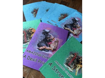 494013157 1149514113857475 2036549160831272105 n (2)