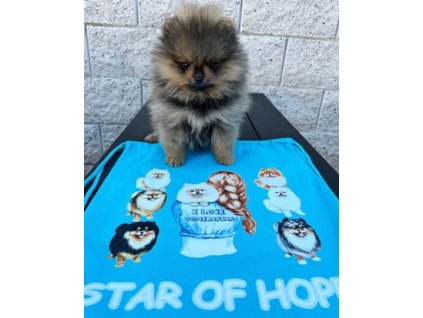 494448079 1149511613857725 2843096403963496094 n (2)