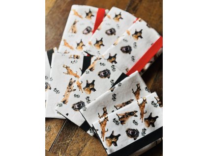 494004996 1149514937190726 6484604003358017130 n (3)