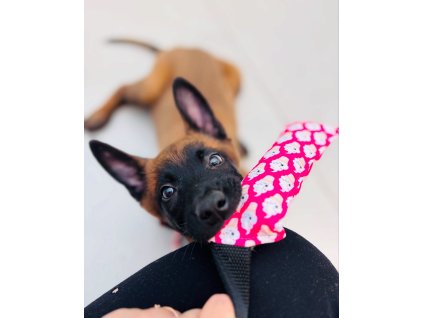 493272439 1149514963857390 2620476998926663095 n (2)