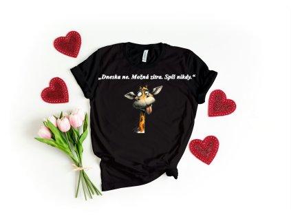 Tričko s vtipným potiskem :)