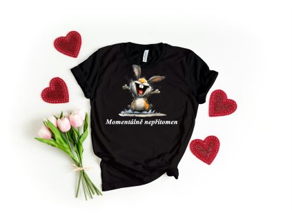 Tričko s vtipným potiskem :)