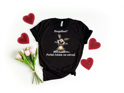 Tričko s vtipným potiskem :)