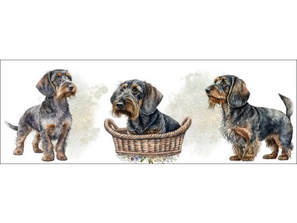 bb67f0b3 0e6a 4079 ad18 c5f232b24429 kopie (17) kopie kopie kopie