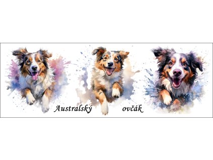 bb67f0b3 0e6a 4079 ad18 c5f232b24429 kopie (17) kopie kopie