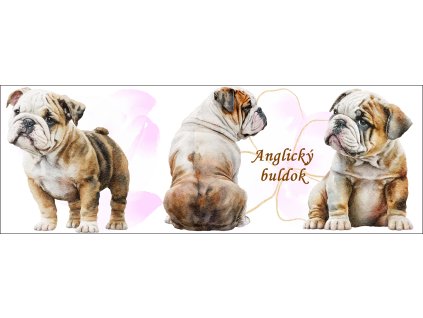 bb67f0b3 0e6a 4079 ad18 c5f232b24429 kopie (18) kopie kopie