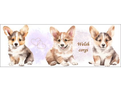 bb67f0b3 0e6a 4079 ad18 c5f232b24429 kopie (9)