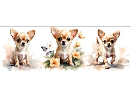 bb67f0b3 0e6a 4079 ad18 c5f232b24429 kopie (11)