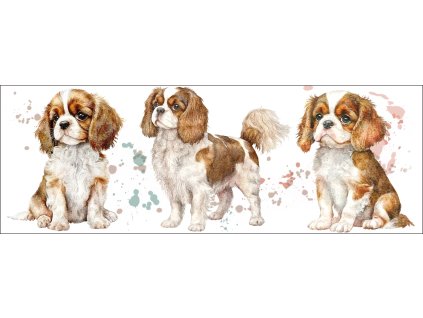 bb67f0b3 0e6a 4079 ad18 c5f232b24429 kopie (21) kopie kopie kopie