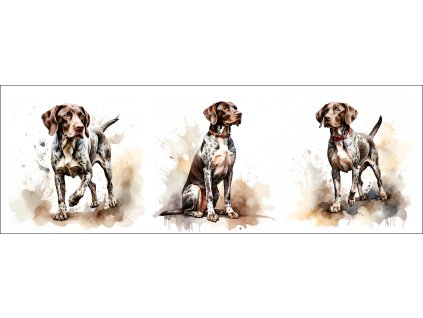 bb67f0b3 0e6a 4079 ad18 c5f232b24429 kopie (23) kopie kopie kopie