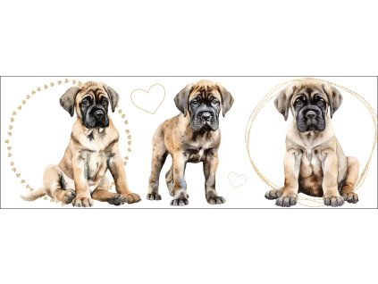 bb67f0b3 0e6a 4079 ad18 c5f232b24429 kopie (25) kopie kopie kopie