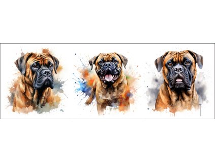 bb67f0b3 0e6a 4079 ad18 c5f232b24429 kopie kopie (2)