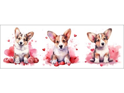 bb67f0b3 0e6a 4079 ad18 c5f232b24429 kopie kopie (3)