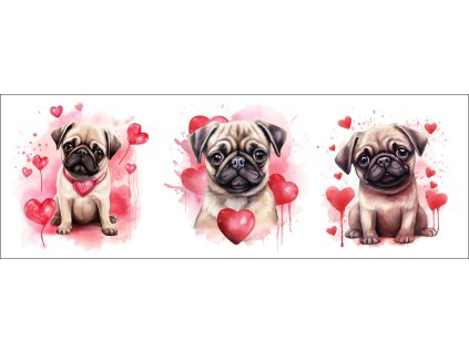 bb67f0b3 0e6a 4079 ad18 c5f232b24429 kopie kopie