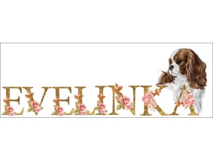 bb67f0b3 0e6a 4079 ad18 c5f232b24429 kopie (16) kopie