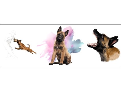 bb67f0b3 0e6a 4079 ad18 c5f232b24429 kopie (18)