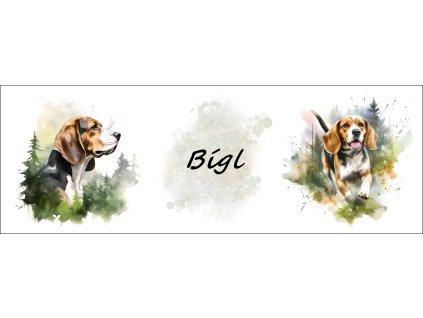 bb67f0b3 0e6a 4079 ad18 c5f232b24429 kopie (20)