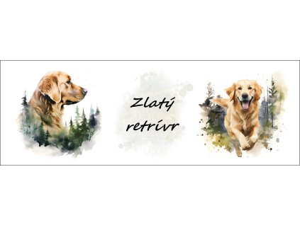 bb67f0b3 0e6a 4079 ad18 c5f232b24429 kopie (19)