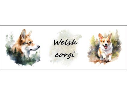 bb67f0b3 0e6a 4079 ad18 c5f232b24429 kopie (22)