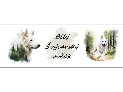 bb67f0b3 0e6a 4079 ad18 c5f232b24429 kopie (27)