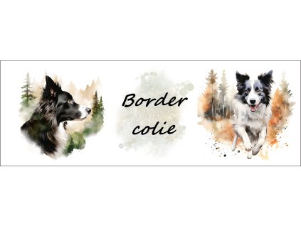 bb67f0b3 0e6a 4079 ad18 c5f232b24429 kopie (25)