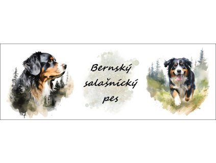 bb67f0b3 0e6a 4079 ad18 c5f232b24429 kopie (28)