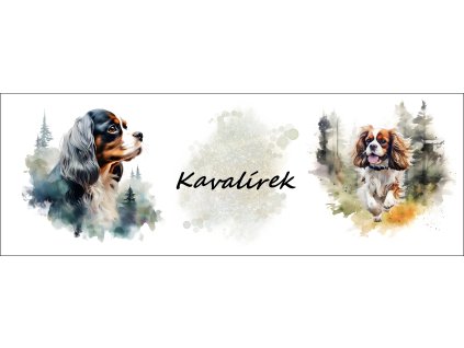 bb67f0b3 0e6a 4079 ad18 c5f232b24429 kopie (29)