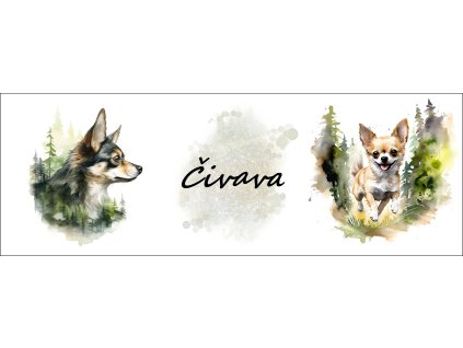 bb67f0b3 0e6a 4079 ad18 c5f232b24429 kopie (32)