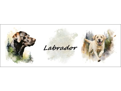 bb67f0b3 0e6a 4079 ad18 c5f232b24429 kopie (30)