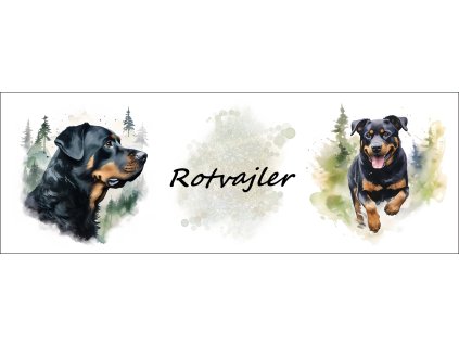 bb67f0b3 0e6a 4079 ad18 c5f232b24429 kopie kopie (12)