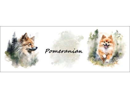 bb67f0b3 0e6a 4079 ad18 c5f232b24429 kopie kopie (11)