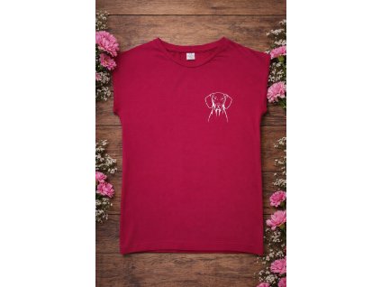 4942982C 212D 4CE7 A1DA 9FA7D21E7DF1