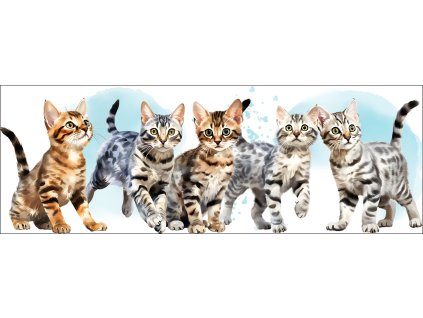 bb67f0b3 0e6a 4079 ad18 c5f232b24429 kopie (37) kopie