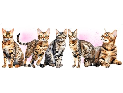 bb67f0b3 0e6a 4079 ad18 c5f232b24429 kopie (36) kopie