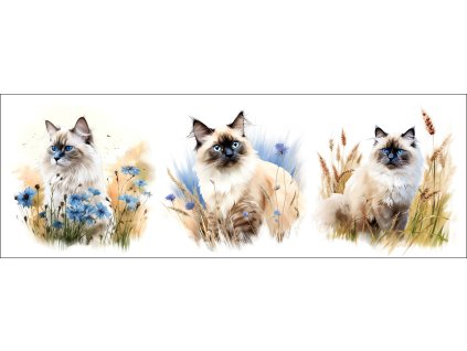 bb67f0b3 0e6a 4079 ad18 c5f232b24429 kopie (4)