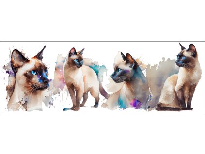 bb67f0b3 0e6a 4079 ad18 c5f232b24429 kopie (8)