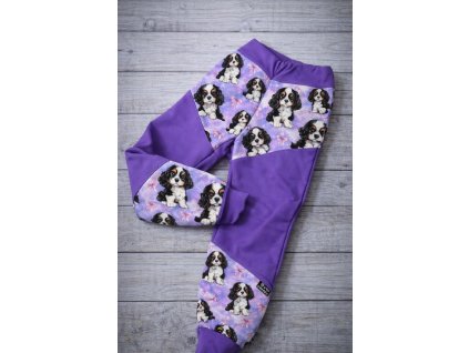 FFA92421 961D 4942 A133 4E0187FBA9EA