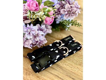 4b89c437 4b32 4d6b 9452 31ad3bac1764