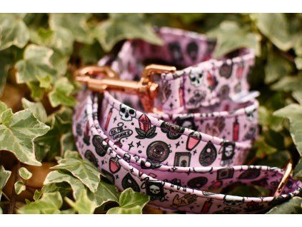 Vodítko 1,2m  - ČARODĚJKA