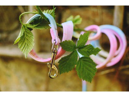 Vodítko 1,2m  - PASTEL