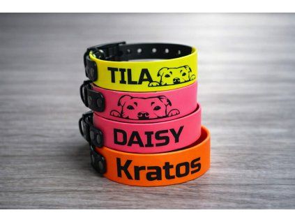 85ca37d4 356f 40b2 8a64 c693b47baf9a