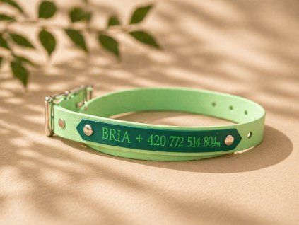 2bc417cf 3a0c 4652 9c54 72a0c21903ad