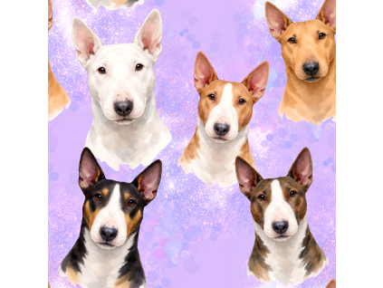 bulterier mix
