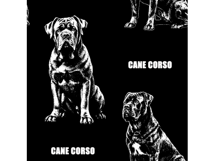 CANE CORSO 2