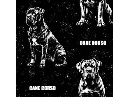 CANE CORSO 3